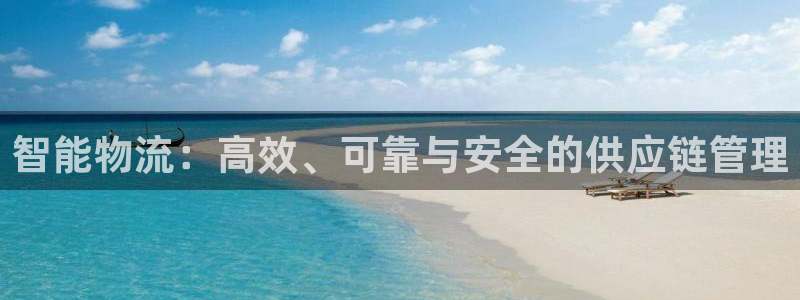 tp钱包 mdex：智能物流：高效、