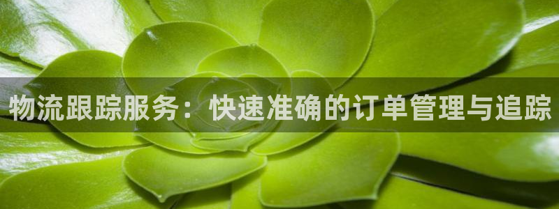 tp钱包下载最新版2023下载安装安