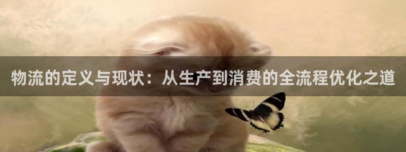 如何在tp钱包买币：物流的定义与现状