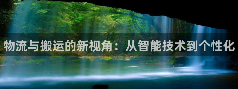 tp钱包的安全性高吗：物流与搬运的新