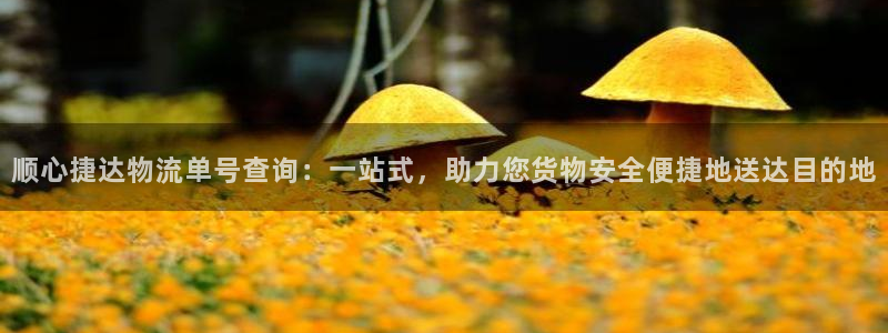 Tp钱包官网最新版本更新内容