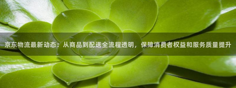 下载tp安防软件