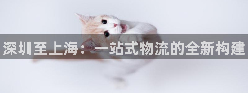 tp钱包买okt