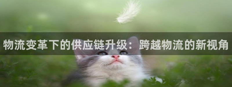 tp钱包提币教程usdt