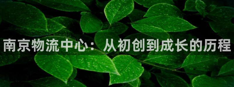 tp钱包ht