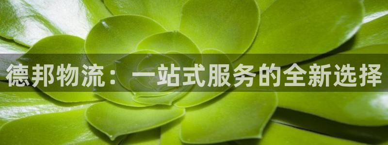 tp钱包被盗的原因：德邦物流：一站式
