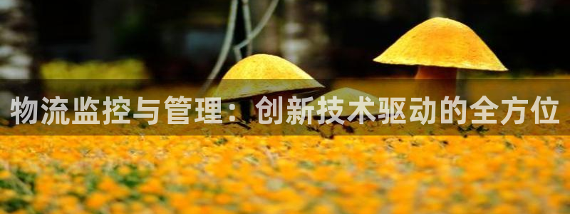 tptp官方下载ios版