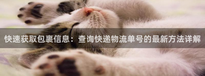 tp钱包客服微信加不了