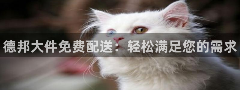 TP钱包切换账号步骤：德邦大件免费配