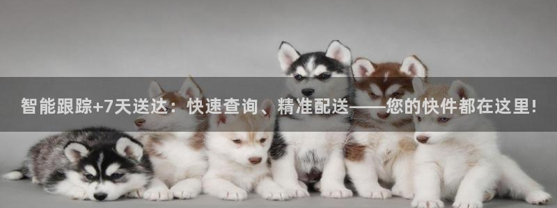 tp钱包bsc怎么转到erc