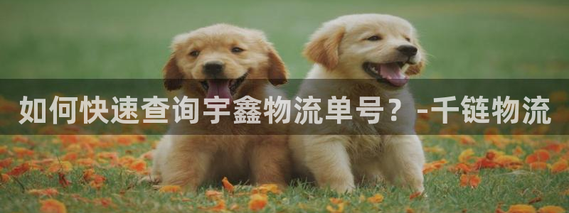 tptp官方下载安卓最新版本