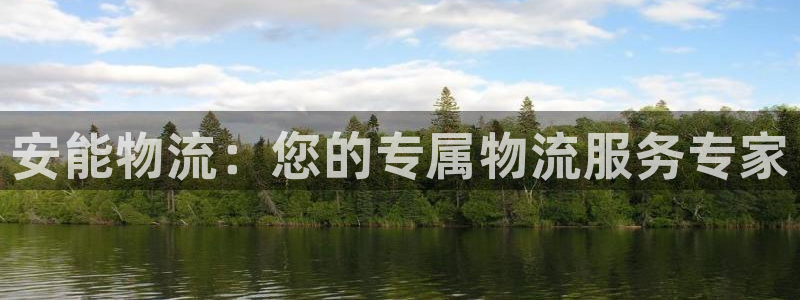 TP钱包安卓版官方网下载：安能物流：