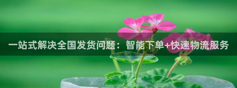 tp钱包转出