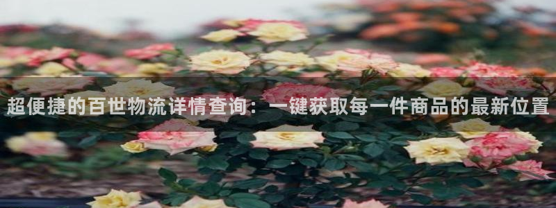 tp钱包不到账
