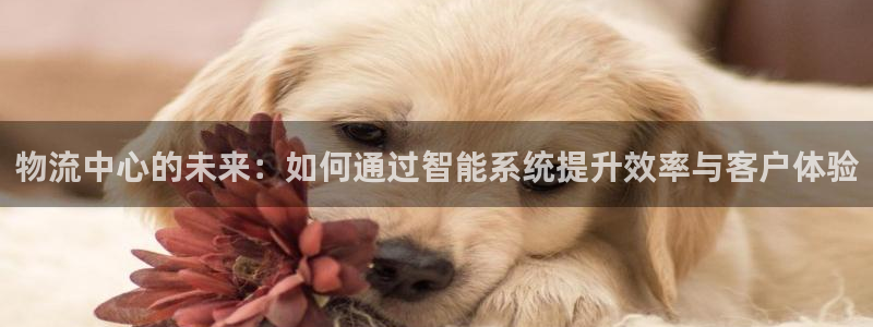 tp钱包添加core主网参数：物流中