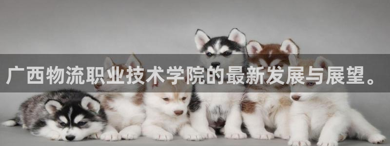 tp钱包 待支付：广西物流职业技术学