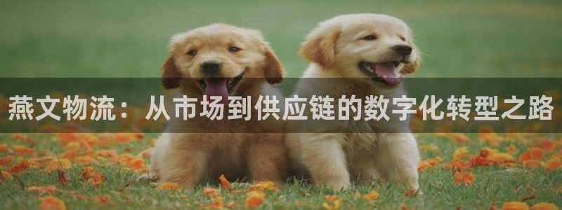 TP钱包app安卓版官方下载链接