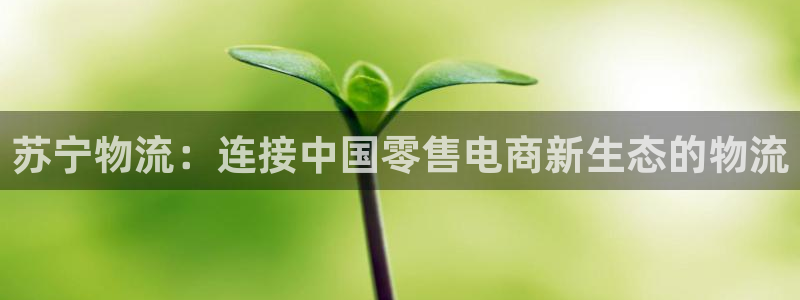 tp钱包创建钱包教程：苏宁物流：连接