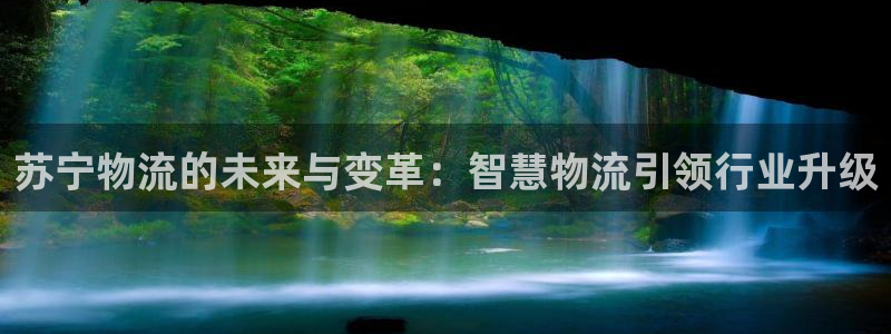 tp下载钱包：苏宁物流的未来与变革：