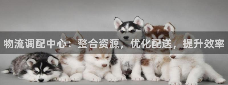 tp钱包链名称：物流调配中心：整合资