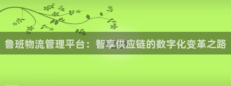 苹果tp钱包下载：鲁班物流管理平台：