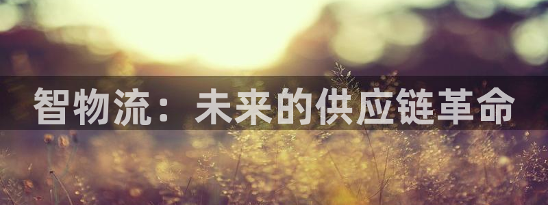 TP钱包怎么样提现人民币吗