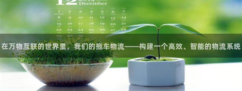 tp钱包里的usdt怎么卖：在万物互