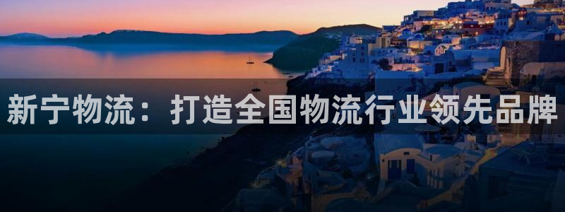 tp钱包被盗：新宁物流：打造全国物流