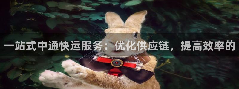 tp钱包被盗码：一站式中通快运服务：