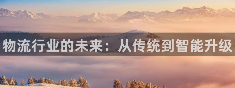 tp钱包下载不了了：物流行业的未来：