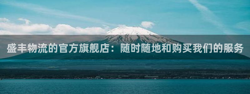 TP钱包安卓版下载2：盛丰物流的官方
