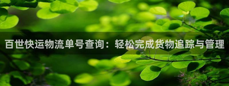 tp钱包转链：百世快运物流单号查询：