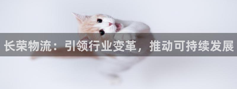 tp钱包可以领哪些空投