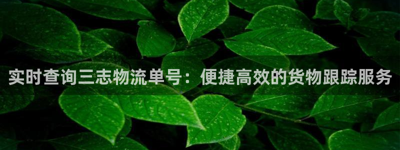 tp钱包下载tokenpocketpro