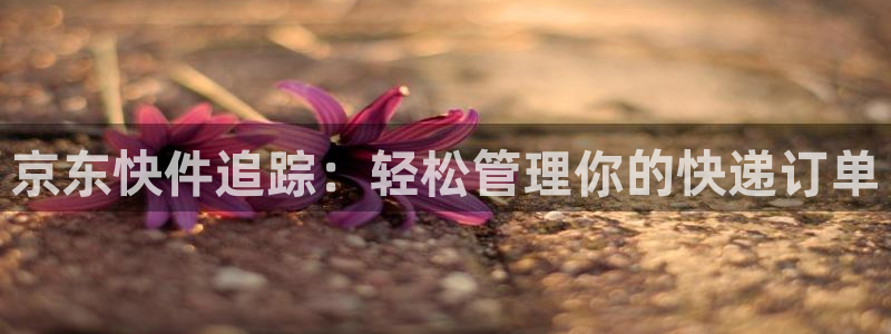 tp钱包资产不变