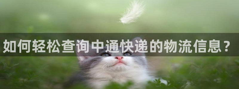 tp钱包u被转走怎么办