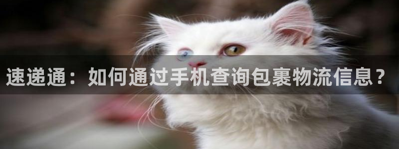 tp钱包被盗如何追回