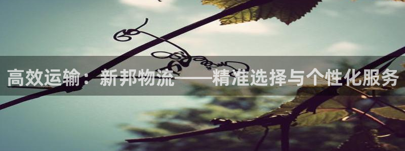 tp钱包监守自盗