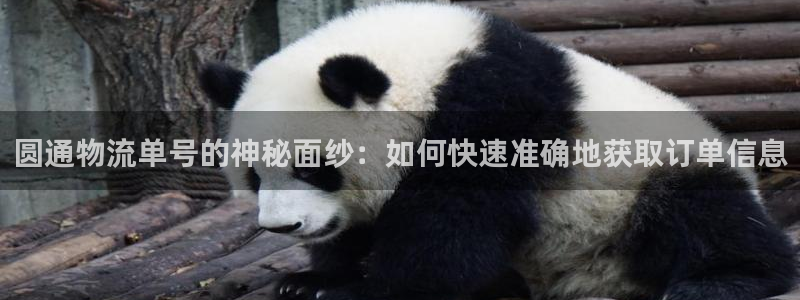 tp钱包里网页无法打开怎么办