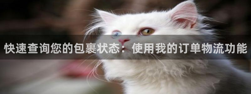 TP钱包 高通 联发科：快速查询您的