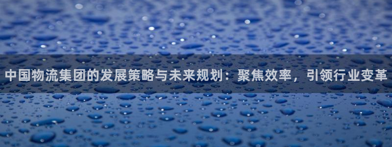 tp钱包数据不更新：中国物流集团的发