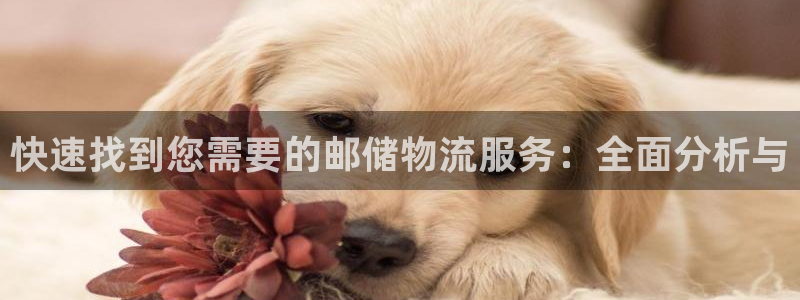 TP钱包官方联系方式：快速找到您需要