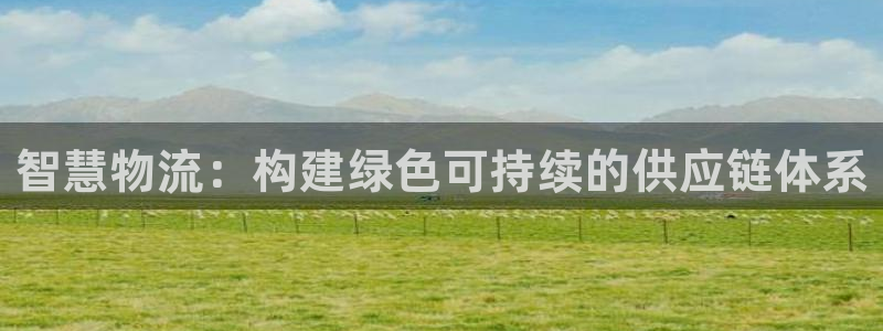 tp钱包官方网站最新版：智慧物流：构