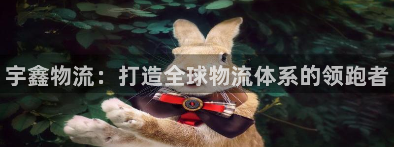 usdt如何提到tp钱包：宇鑫物流：