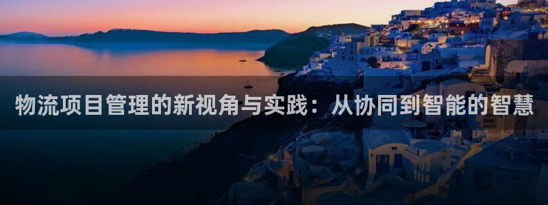 tp钱包连接不上钱包：物流项目管理的