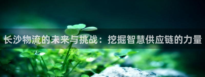 怎样创建tp钱包：长沙物流的未来与挑