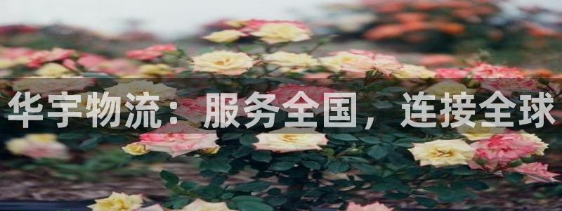 tpg apk：华宇物流：服务全国，