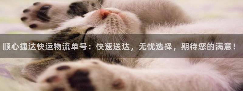 tp钱包app官方下载安卓最新版本链