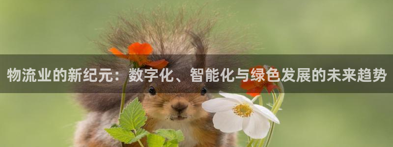 TP钱包eth变现的方法：物流业的新