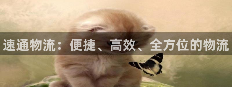 mdex tp钱包：速通物流：便捷、